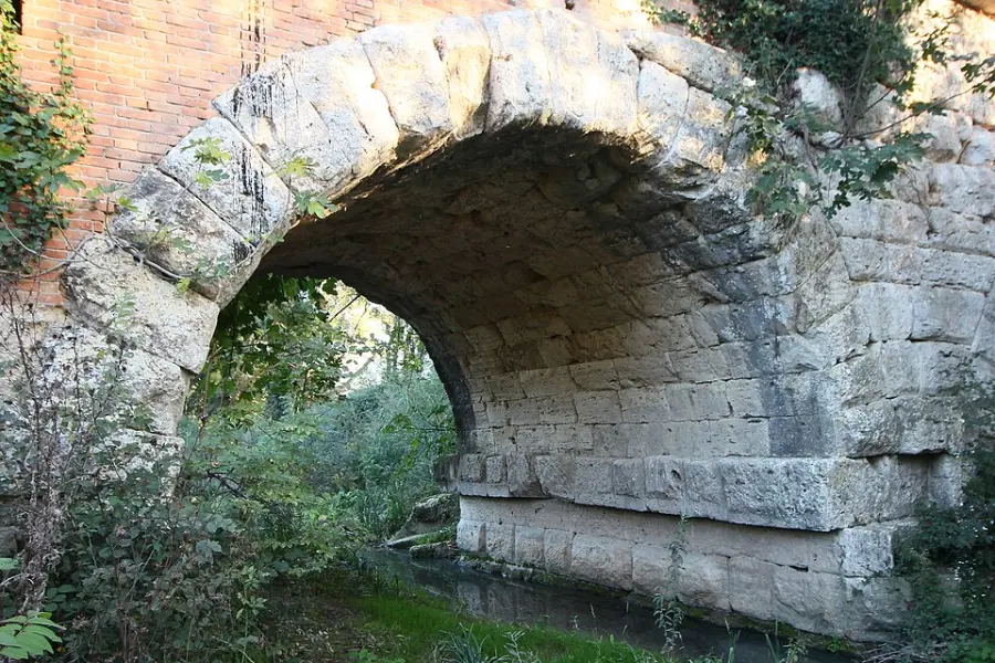 Narni scalo, nasce una nuova area boschiva