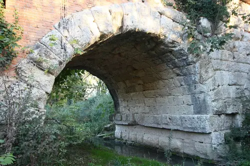 Narni scalo, nasce una nuova area boschiva