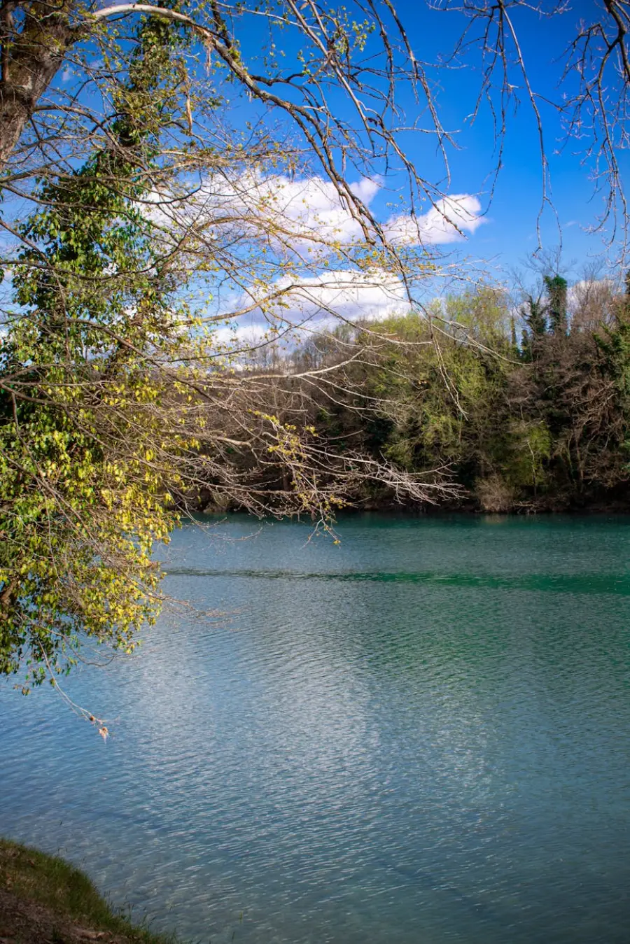 Media Valle del Tevere, contributi fino al 60% per PMI di turismo e commercio