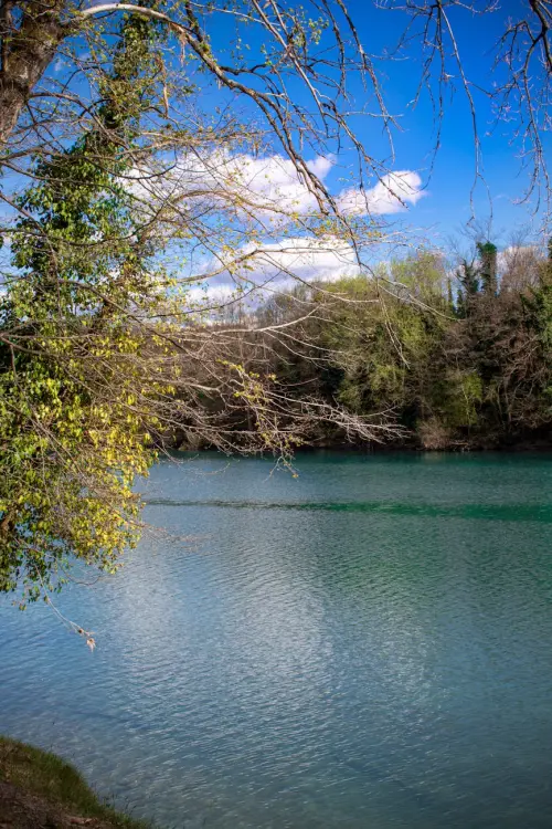 Media Valle del Tevere, contributi fino al 60% per PMI di turismo e commercio