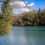 Media Valle del Tevere, contributi fino al 60% per PMI di turismo e commercio