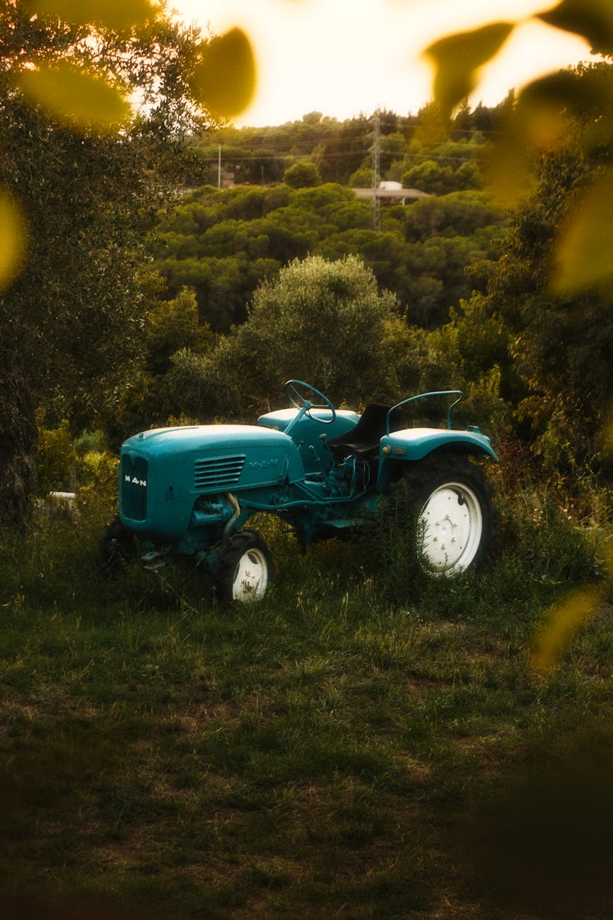 Montecastrilli, al via Agricollina: 200 espositori per la 58ª edizione