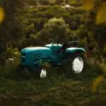 Montecastrilli, al via Agricollina: 200 espositori per la 58ª edizione