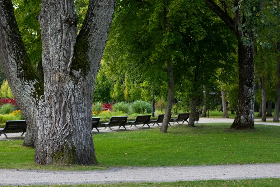 Perugia guida il progetto europeo PARKS sulla cura del verde