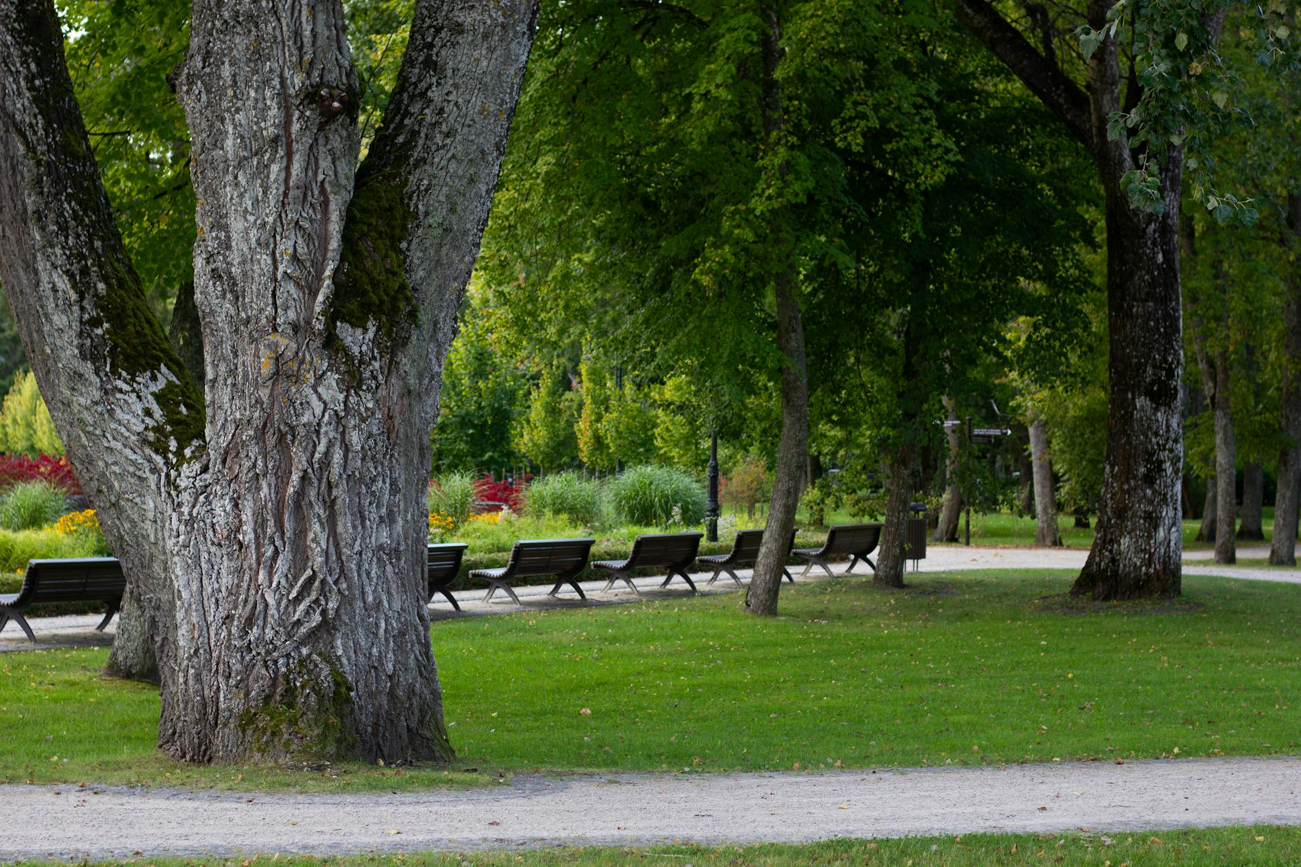 Perugia guida il progetto europeo PARKS sulla cura del verde