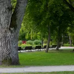 Perugia guida il progetto europeo PARKS sulla cura del verde