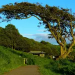 Umbria, allerta meteo per vento forte: attesa burrasca su Perugia e territorio regionale