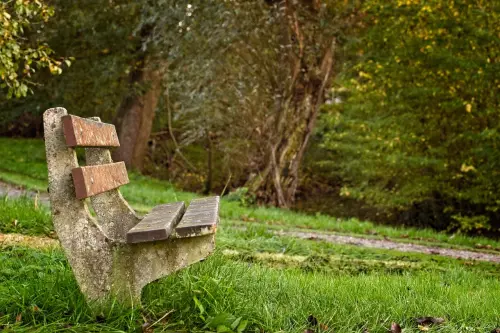 Perugia, piano di derattizzazione e disinfestazione nelle aree pubbliche: pubblicato il calendario degli interventi