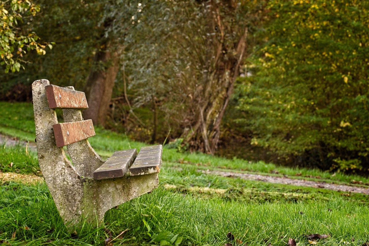 Perugia, piano di derattizzazione e disinfestazione nelle aree pubbliche: pubblicato il calendario degli interventi