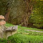 Perugia, piano di derattizzazione e disinfestazione nelle aree pubbliche: pubblicato il calendario degli interventi